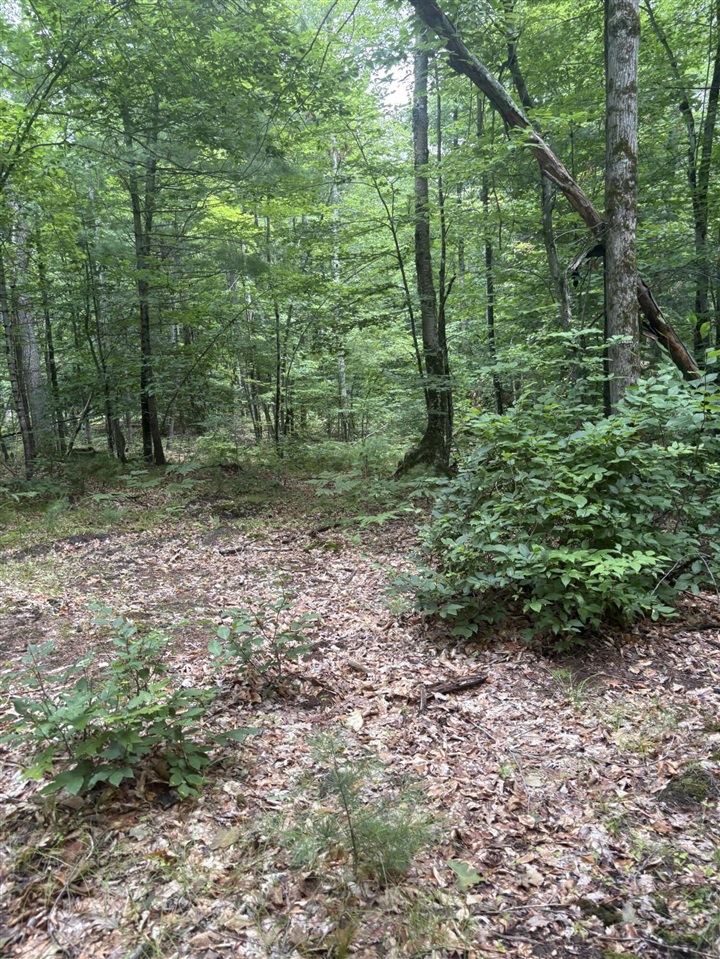Vl 5 Mile Road Property Photo 33