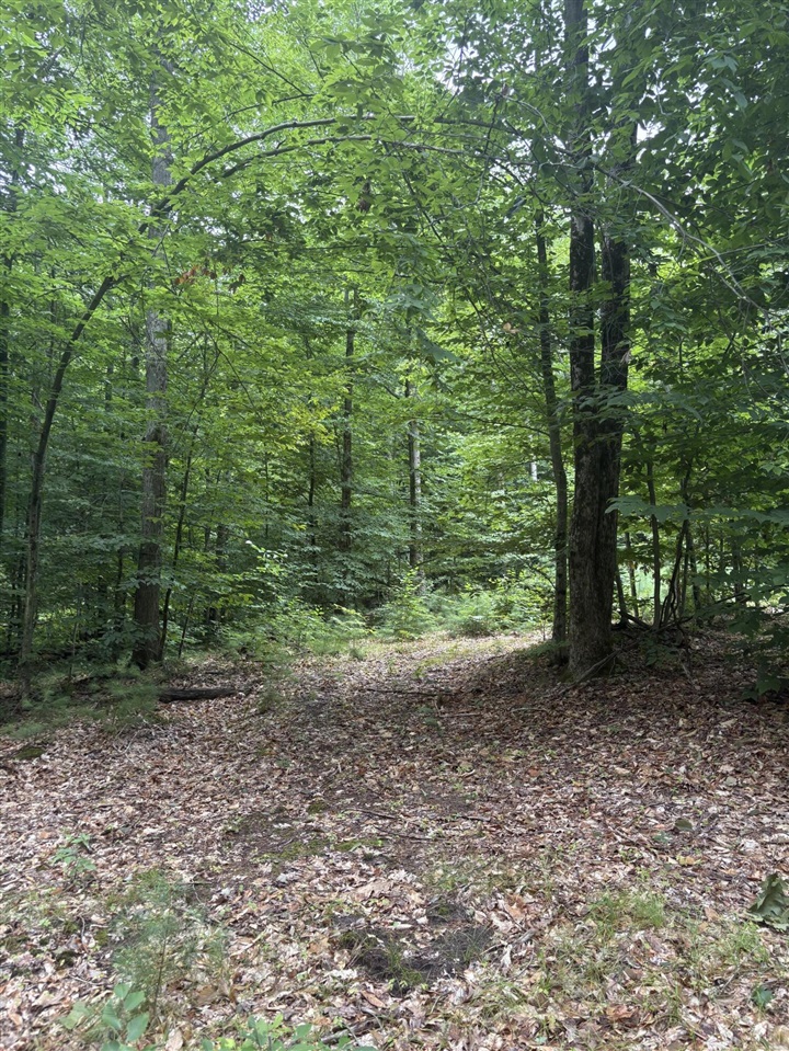Vl 5 Mile Road Property Photo 34