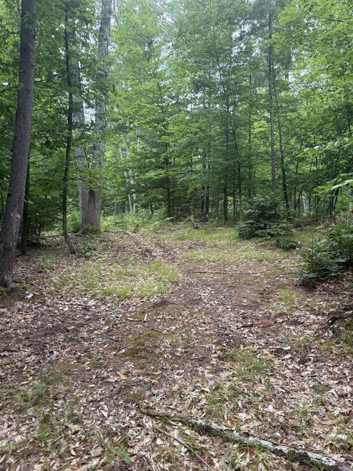 Vl 5 Mile Road Property Photo 35