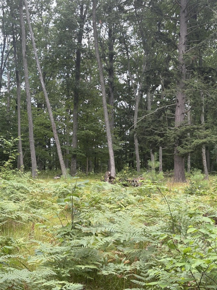 Vl 5 Mile Road Property Photo 36