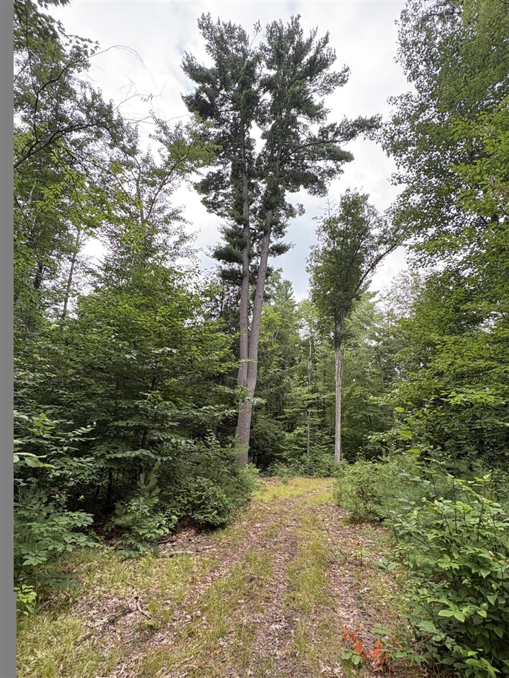 Vl 5 Mile Road Property Photo 39