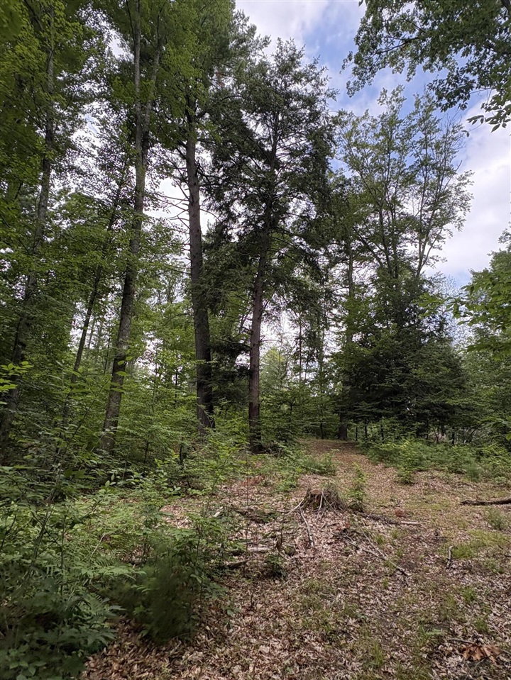 Vl 5 Mile Road Property Photo 41