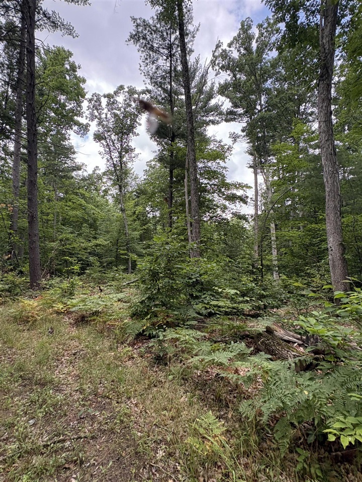 Vl 5 Mile Road Property Photo 42