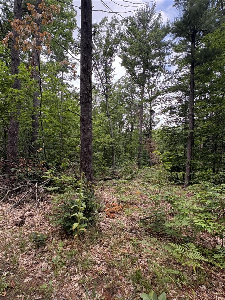 Vl 5 Mile Road Property Photo 43