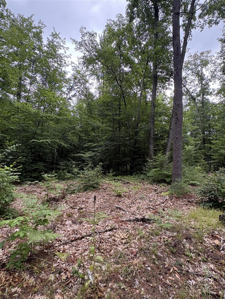 Vl 5 Mile Road Property Photo 44