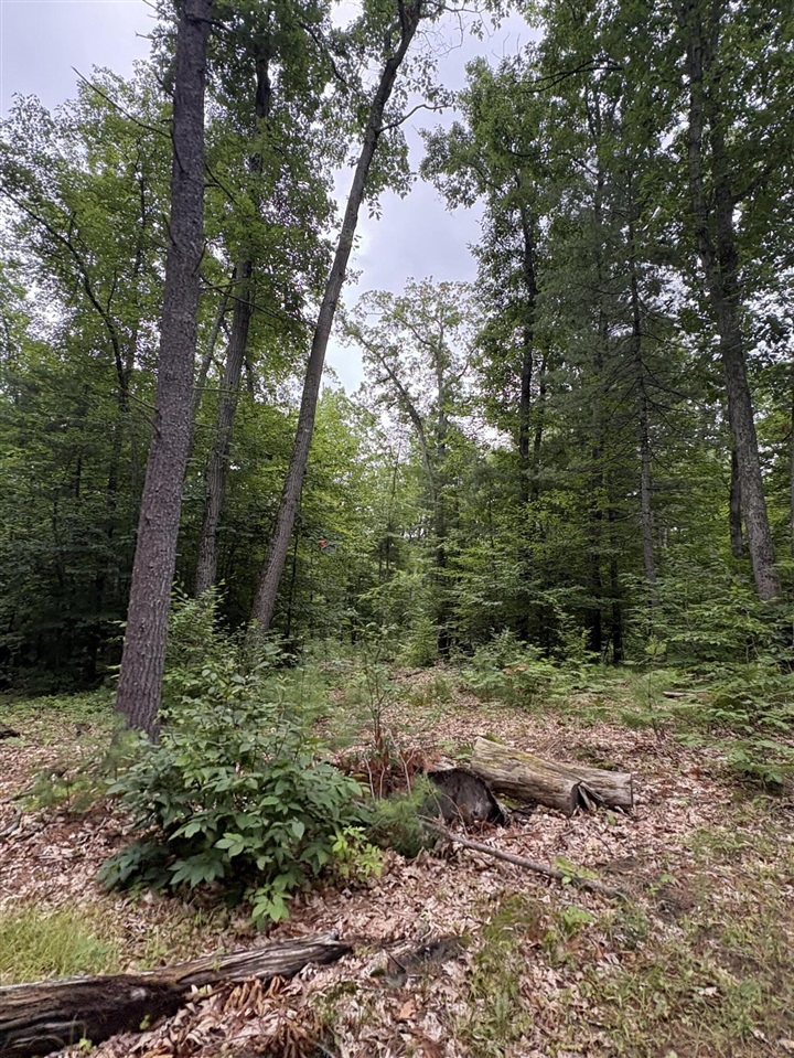 Vl 5 Mile Road Property Photo 45
