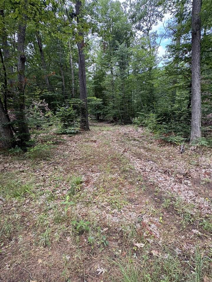 Vl 5 Mile Road Property Photo 46