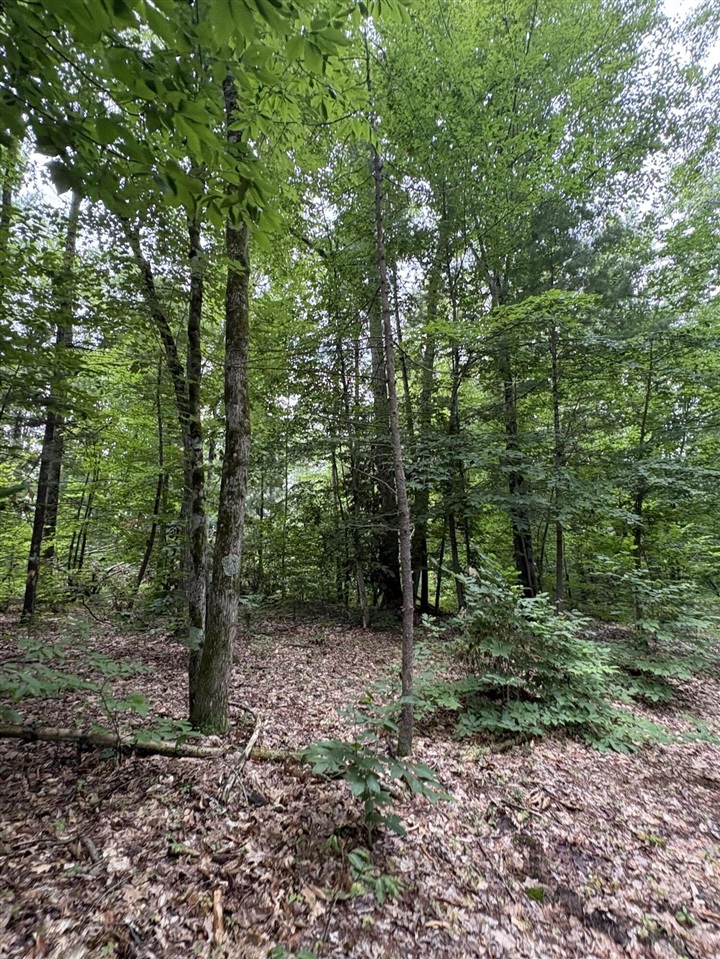 Vl 5 Mile Road Property Photo 47