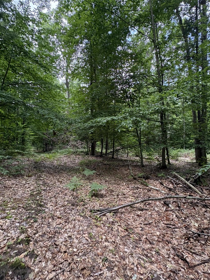 Vl 5 Mile Road Property Photo 48