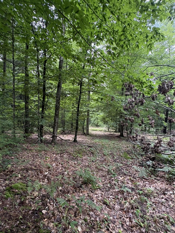 Vl 5 Mile Road Property Photo 49