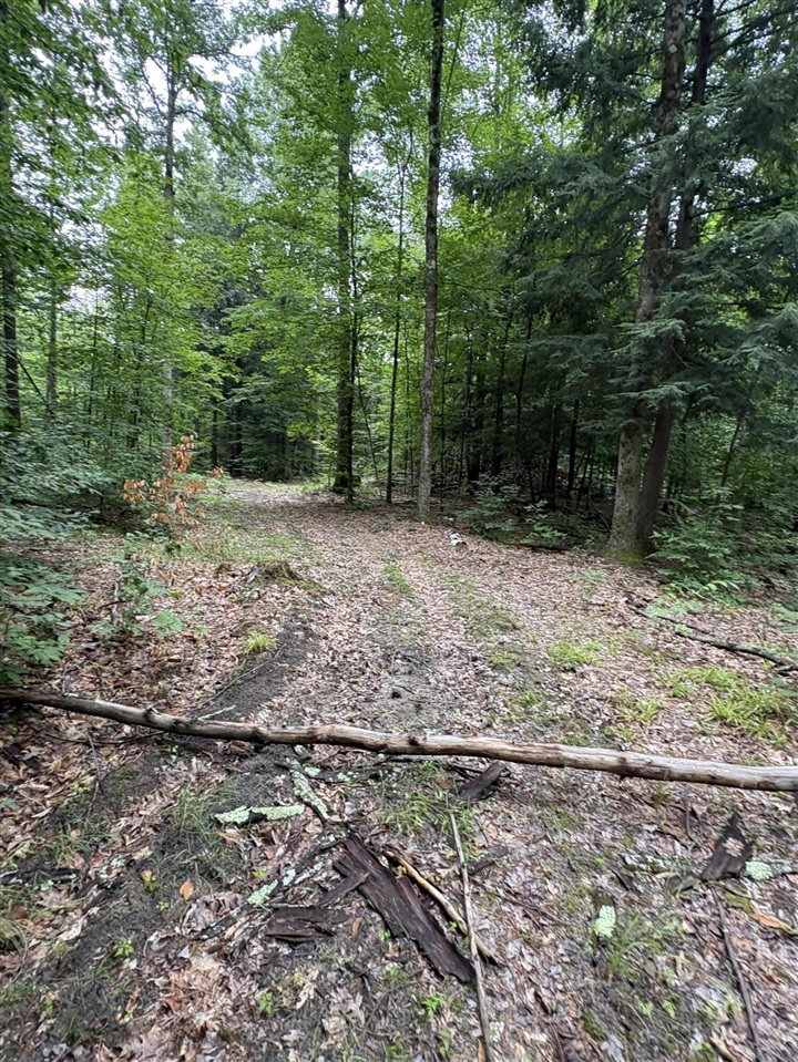 Vl 5 Mile Road Property Photo 52