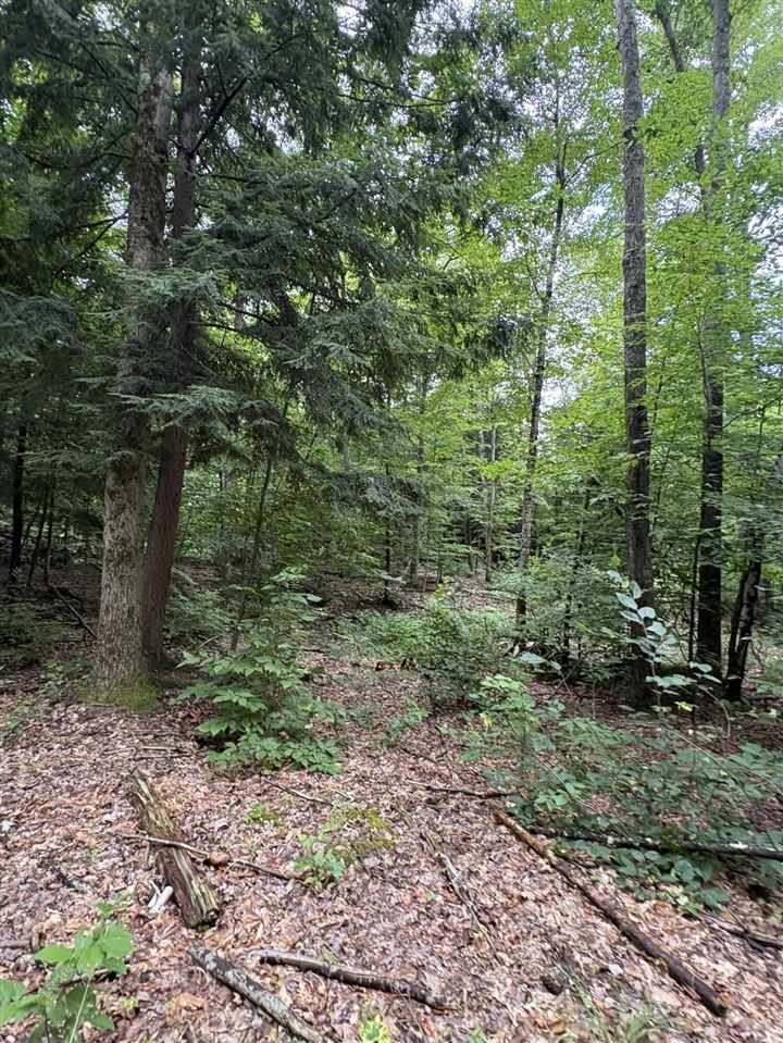 Vl 5 Mile Road Property Photo 53
