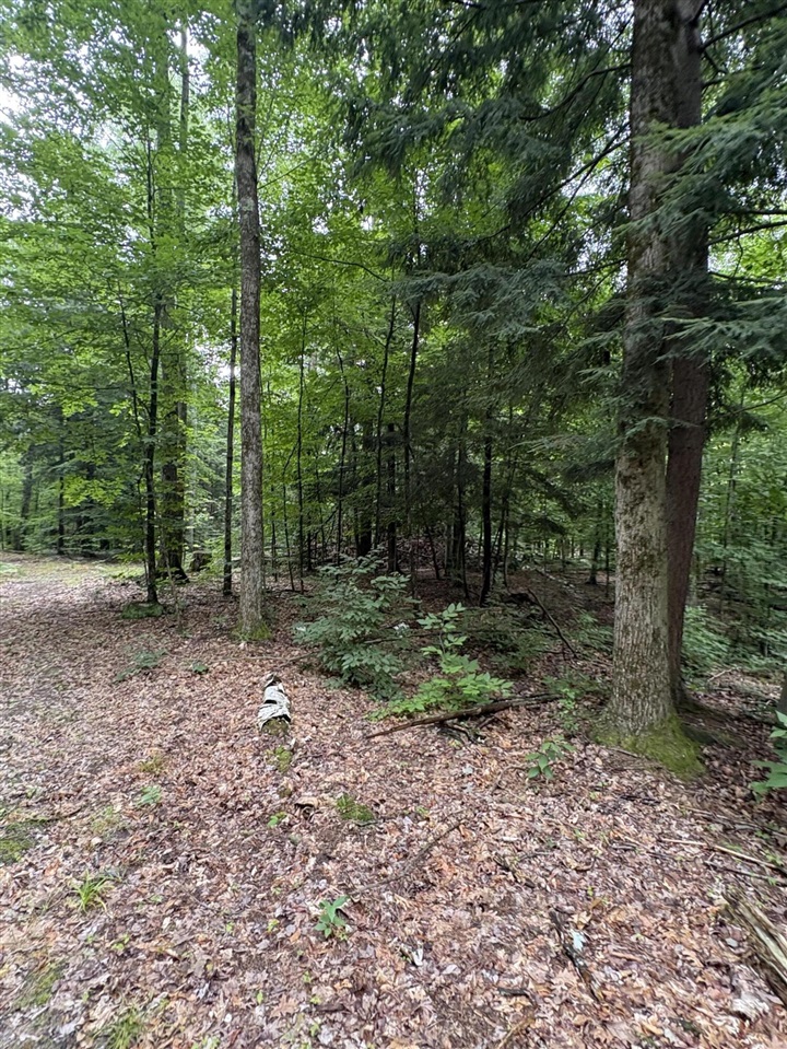 Vl 5 Mile Road Property Photo 54