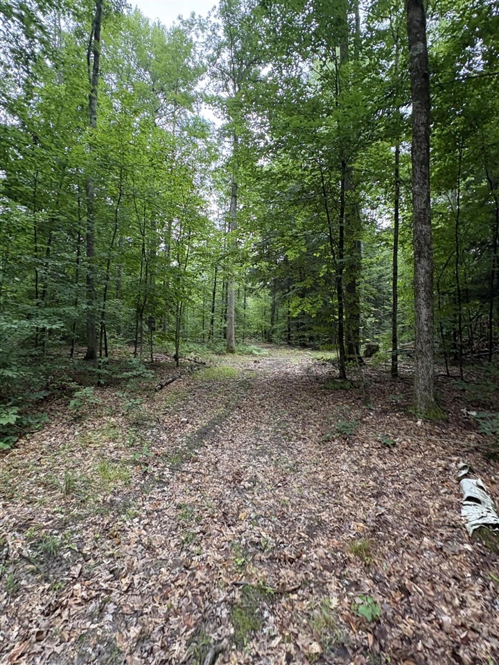 Vl 5 Mile Road Property Photo 55