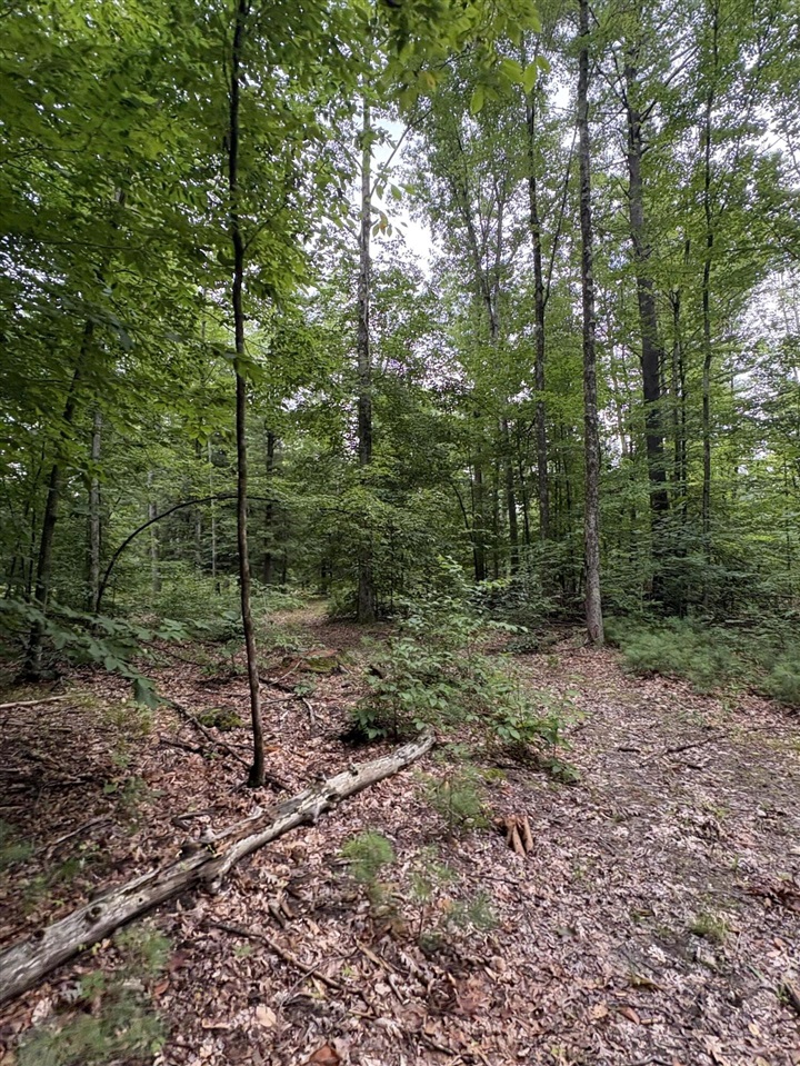Vl 5 Mile Road Property Photo 56