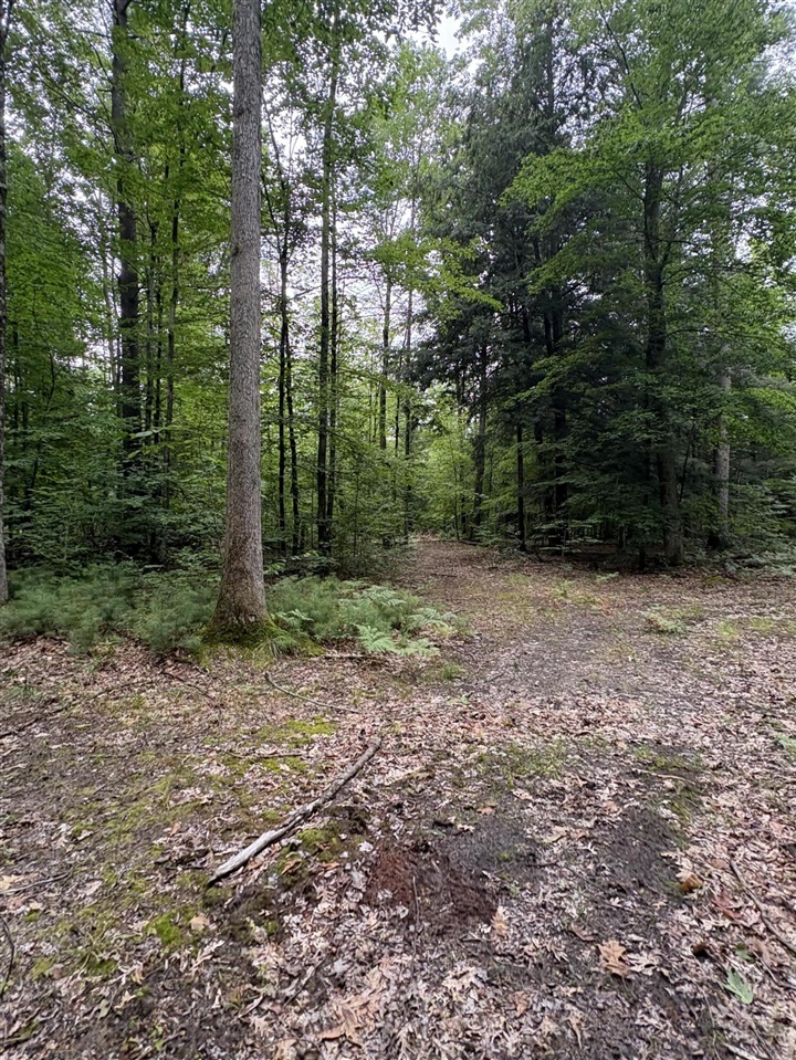 Vl 5 Mile Road Property Photo 57