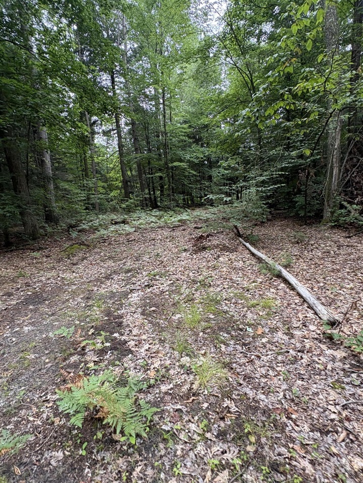 Vl 5 Mile Road Property Photo 58