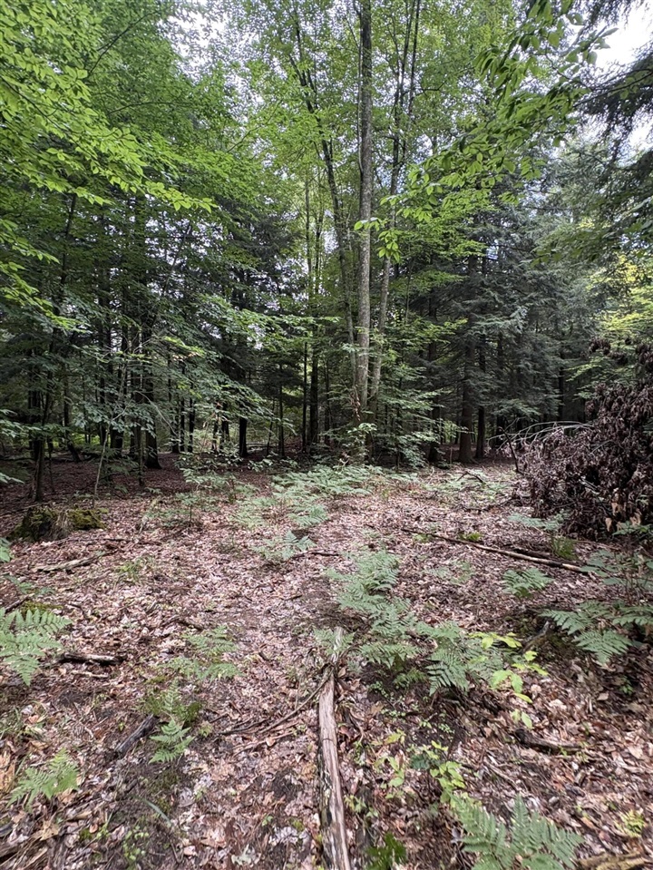 Vl 5 Mile Road Property Photo 59
