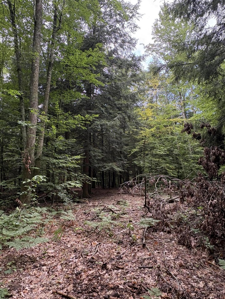 Vl 5 Mile Road Property Photo 60