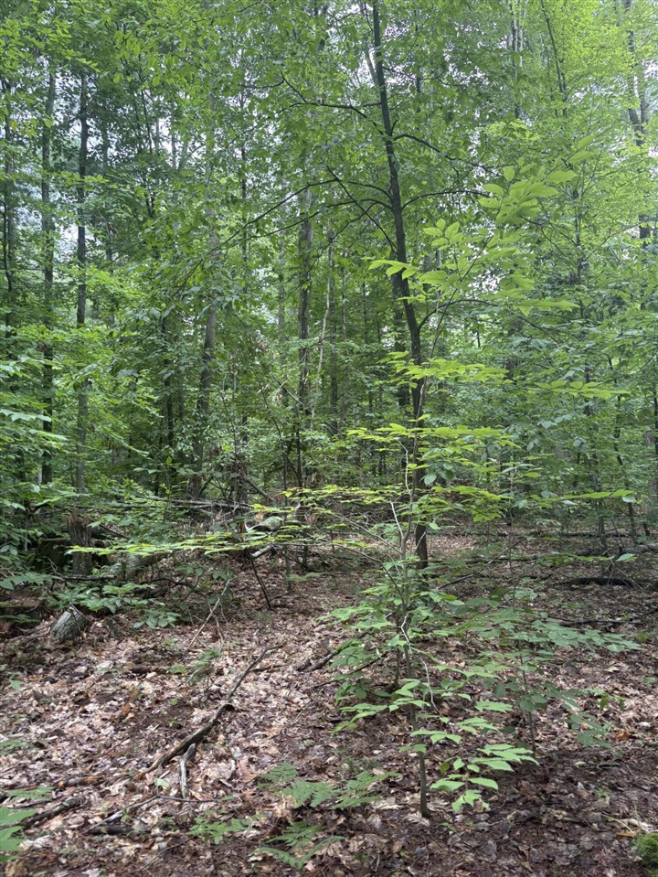 Vl 5 Mile Road Property Photo 67