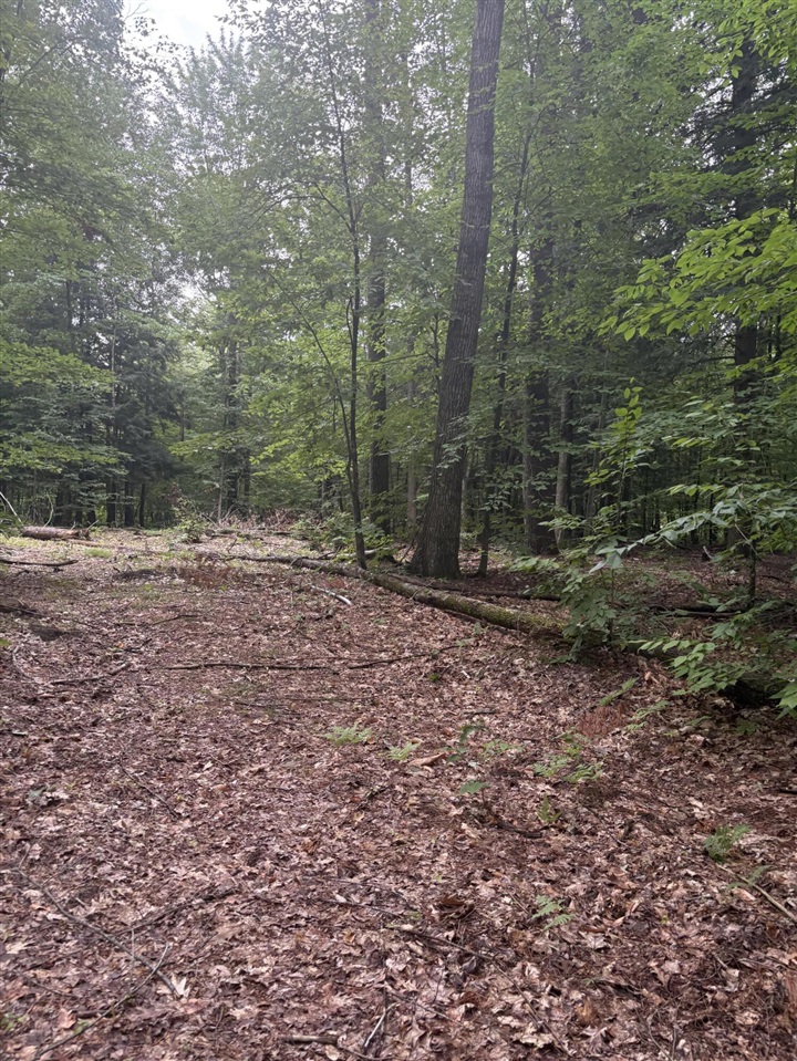 Vl 5 Mile Road Property Photo 68