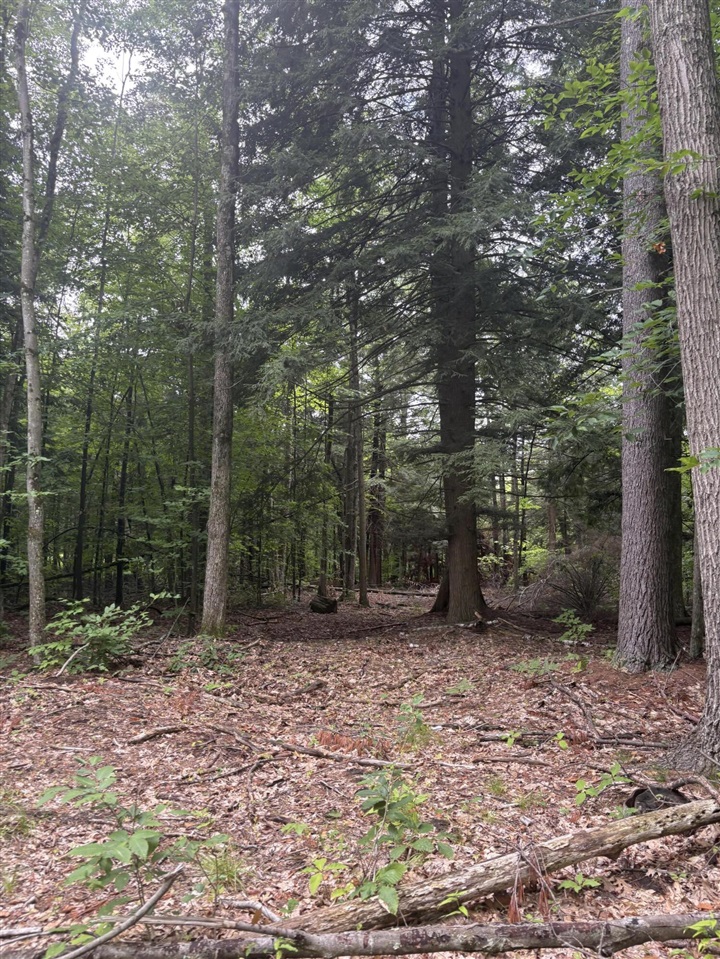Vl 5 Mile Road Property Photo 69