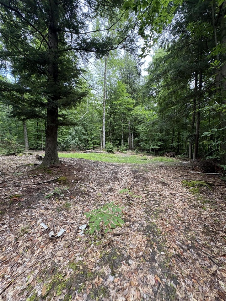 Vl 5 Mile Road Property Photo 73