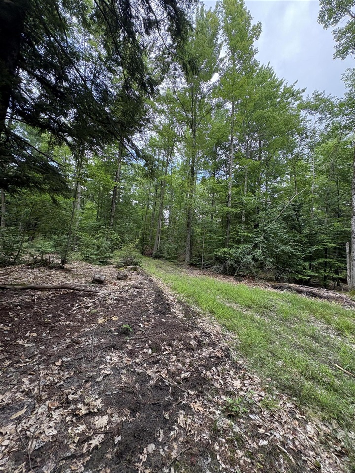 Vl 5 Mile Road Property Photo 74