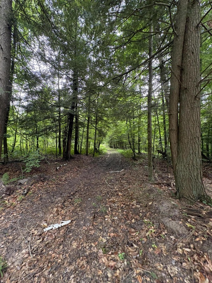 Vl 5 Mile Road Property Photo 75