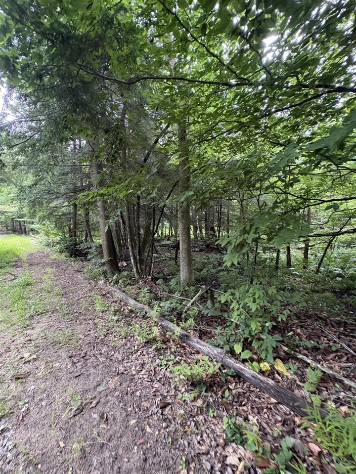 Vl 5 Mile Road Property Photo 77