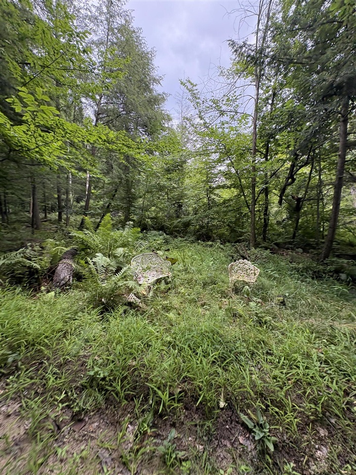 Vl 5 Mile Road Property Photo 78