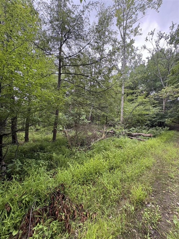 Vl 5 Mile Road Property Photo 81
