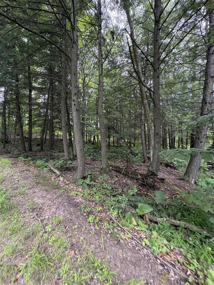 Vl 5 Mile Road Property Photo 82