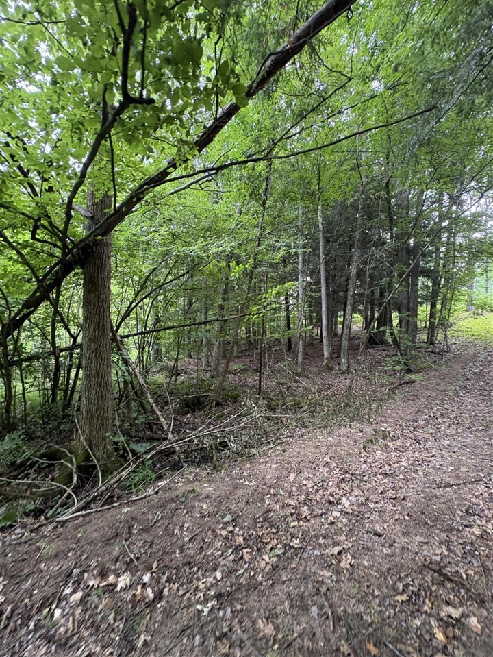 Vl 5 Mile Road Property Photo 83