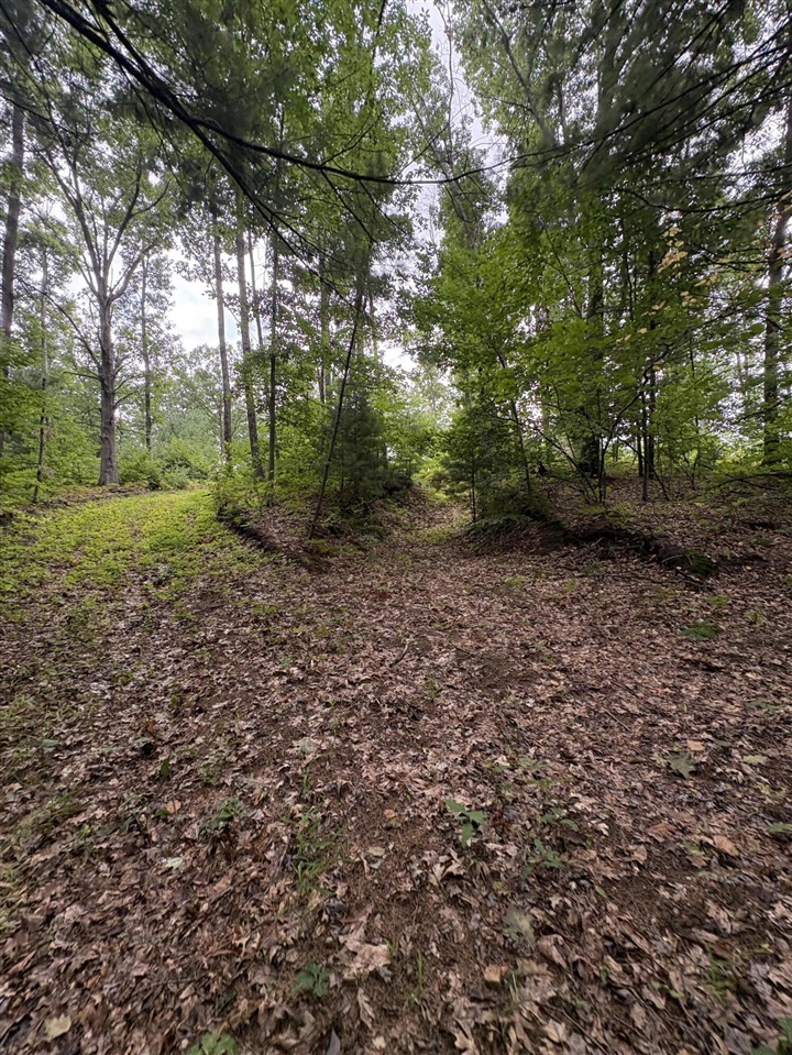 Vl 5 Mile Road Property Photo 85
