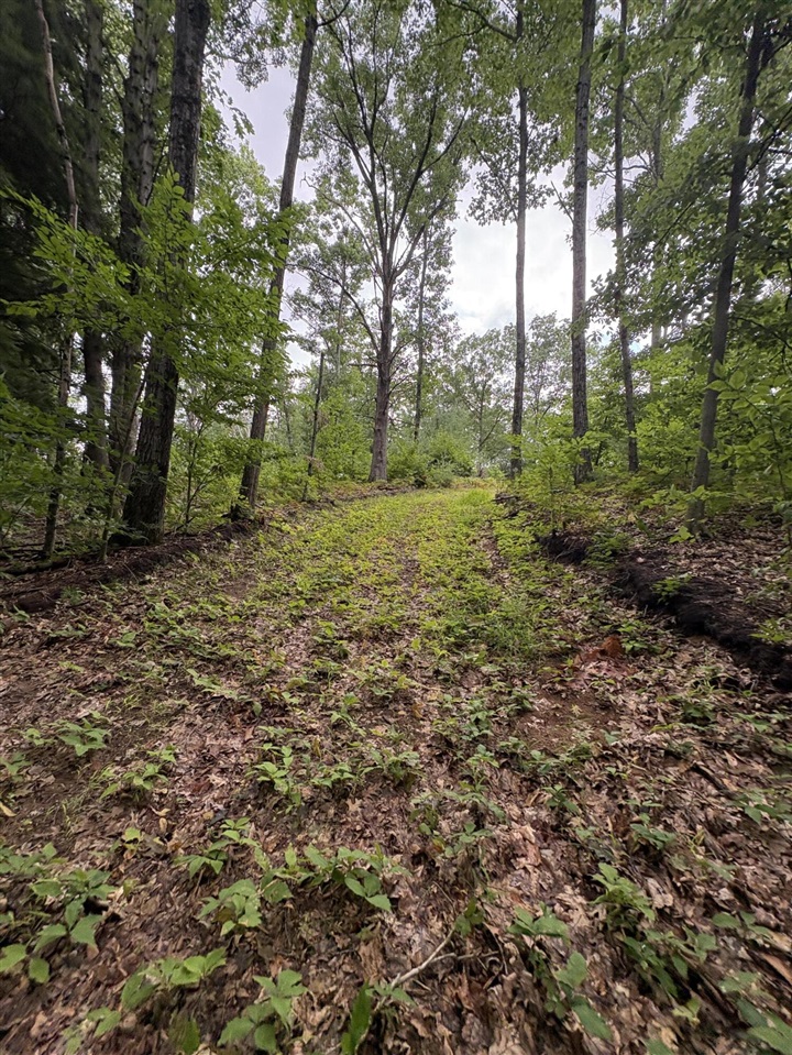 Vl 5 Mile Road Property Photo 86