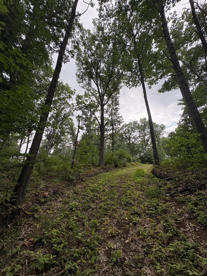 Vl 5 Mile Road Property Photo 87