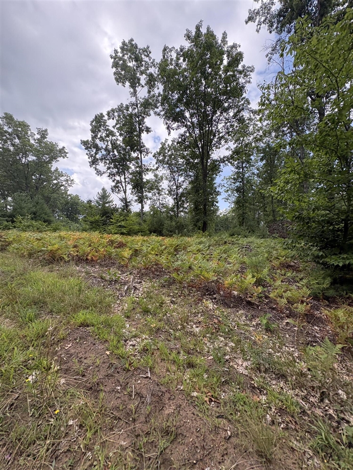 Vl 5 Mile Road Property Photo 88