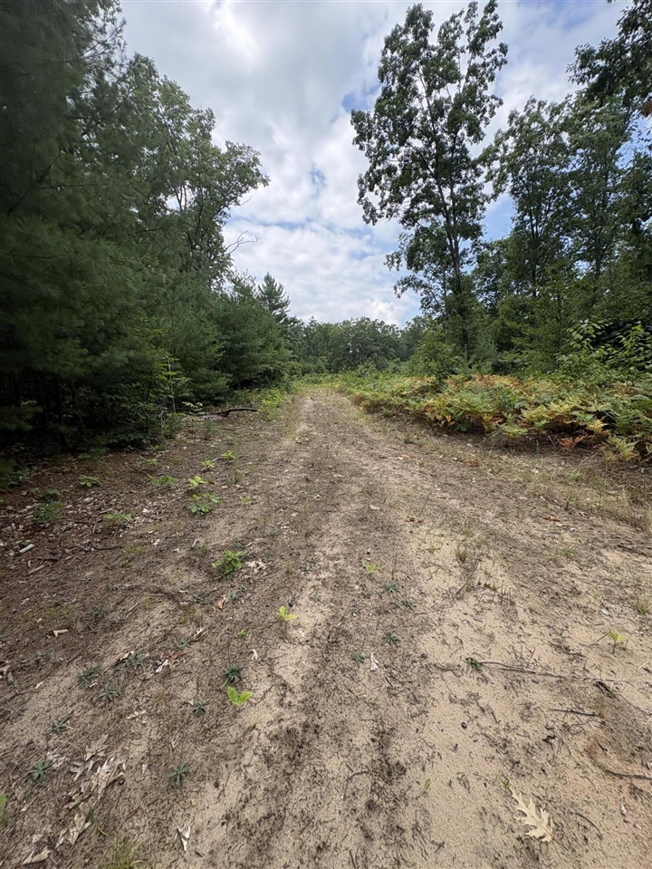 Vl 5 Mile Road Property Photo 89