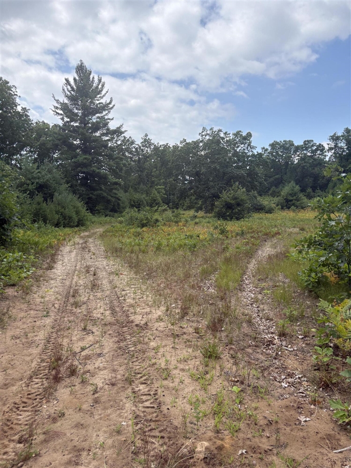 Vl 5 Mile Road Property Photo 91
