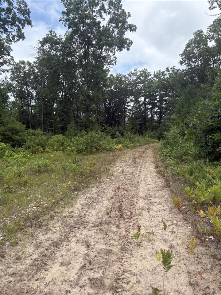 Vl 5 Mile Road Property Photo 93