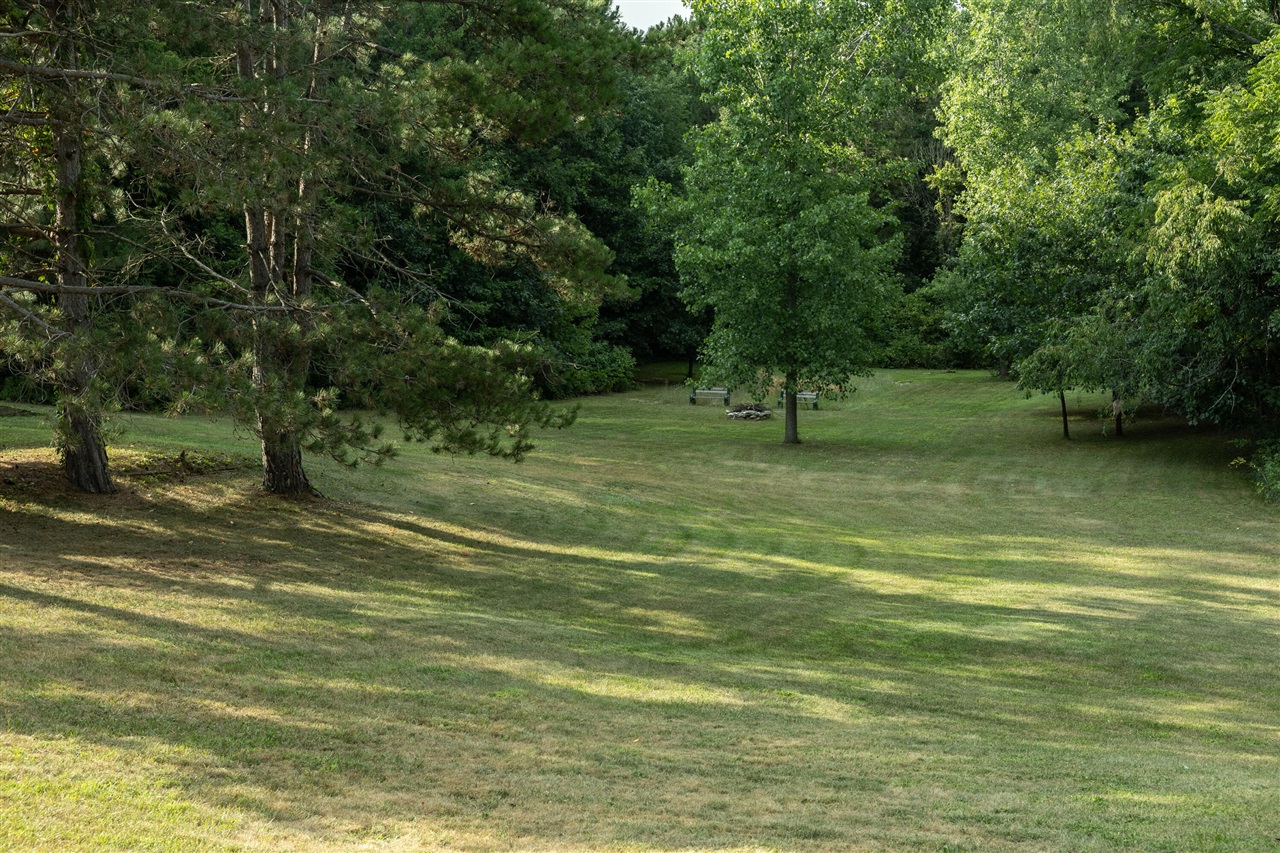 10335 Lincoln Lake Road Property Photo 43