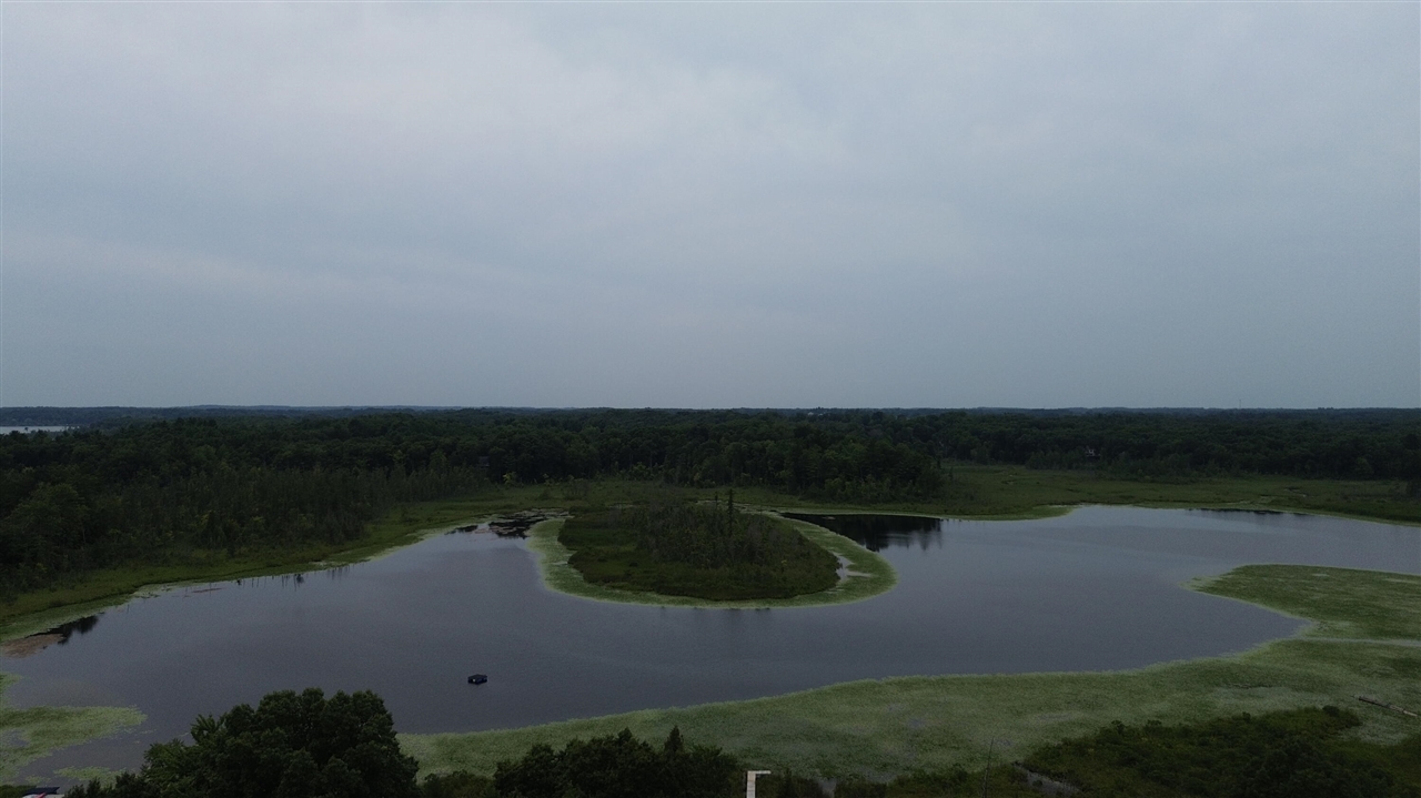 10335 Lincoln Lake Road Property Photo 45