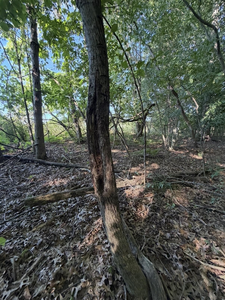 W Sloan Road Property Photo 16