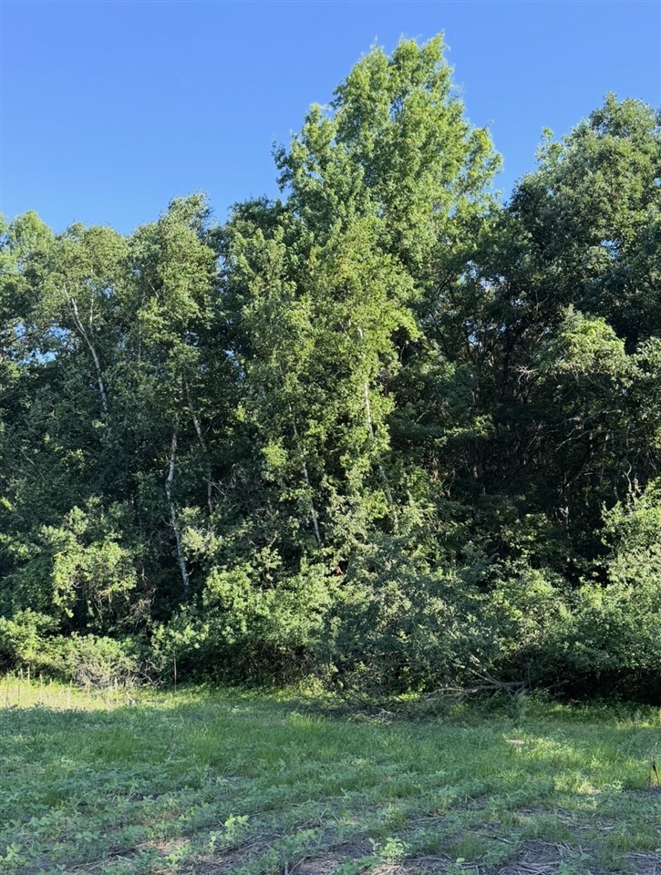 W Sloan Road Property Photo 18