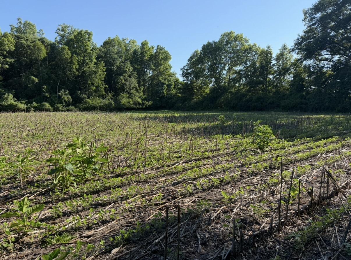 W Sloan Road Property Photo 19