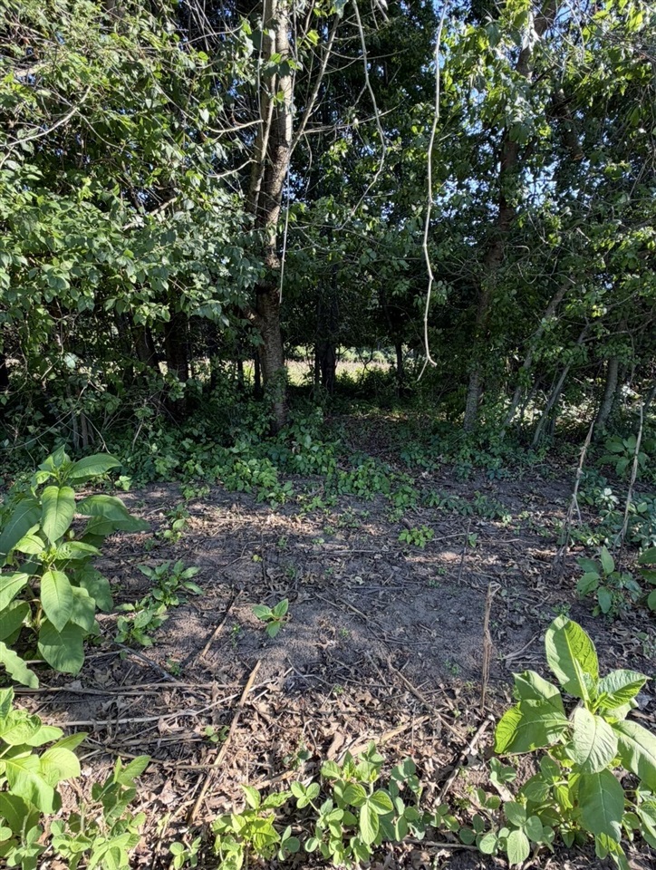 W Sloan Road Property Photo 20