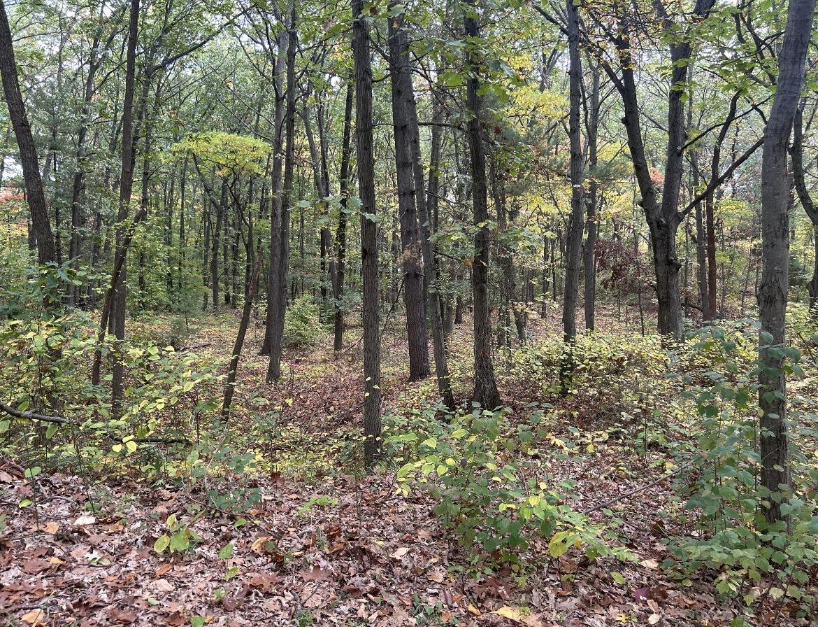 4051 Highview Path Property Photo 2