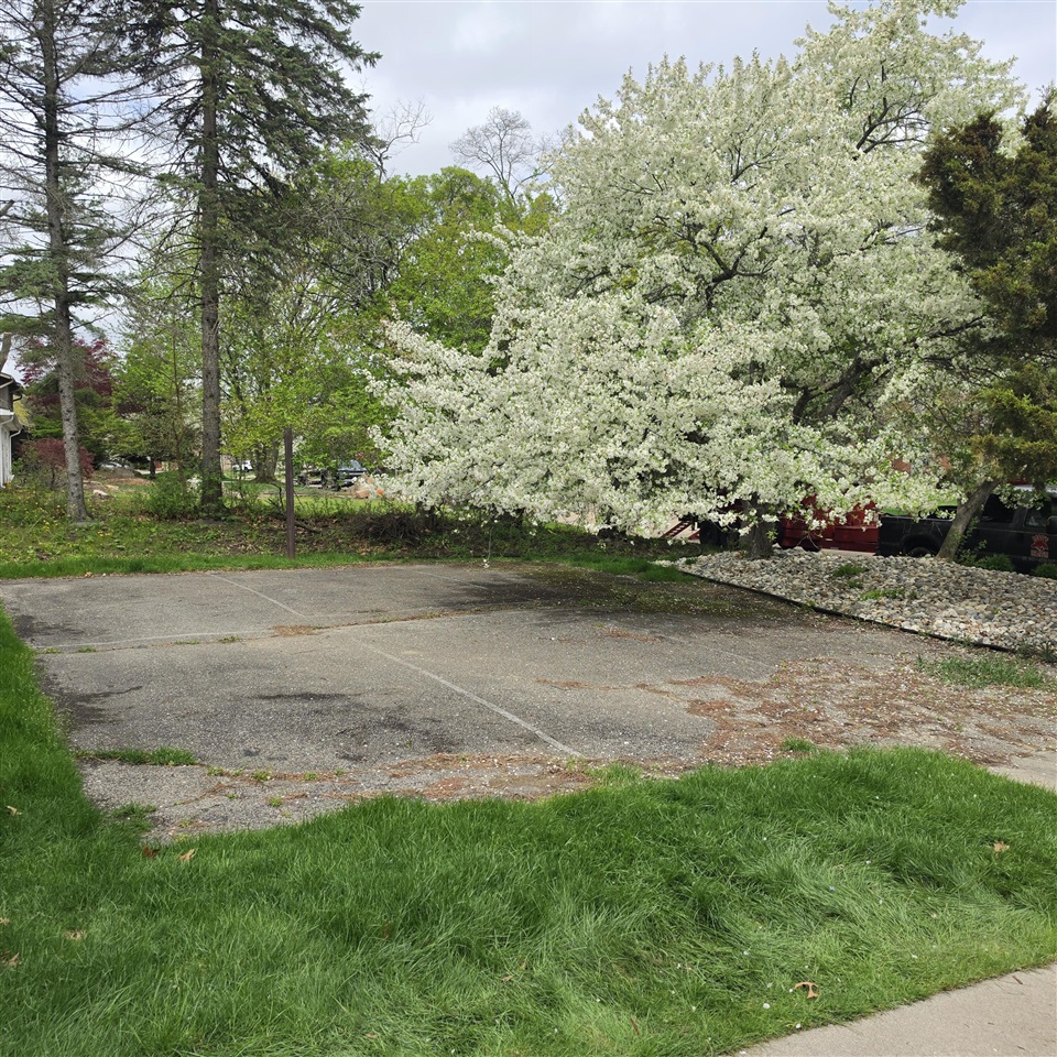 30129 Deer Run Property Photo 6