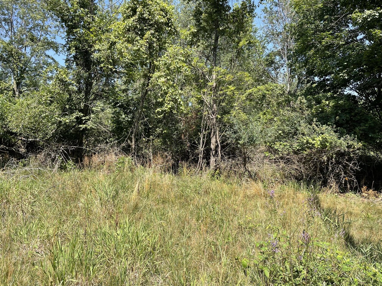 6893 Wiley Road Property Photo 1